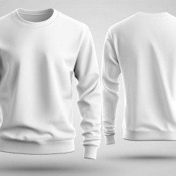 Sweat Shirt 