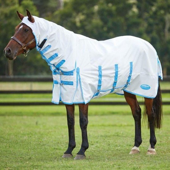 Rain Sheet 