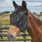 fly mask 
