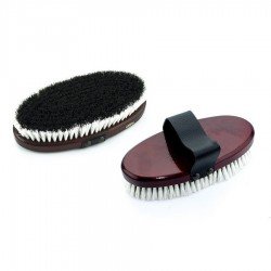Horse Brushes 